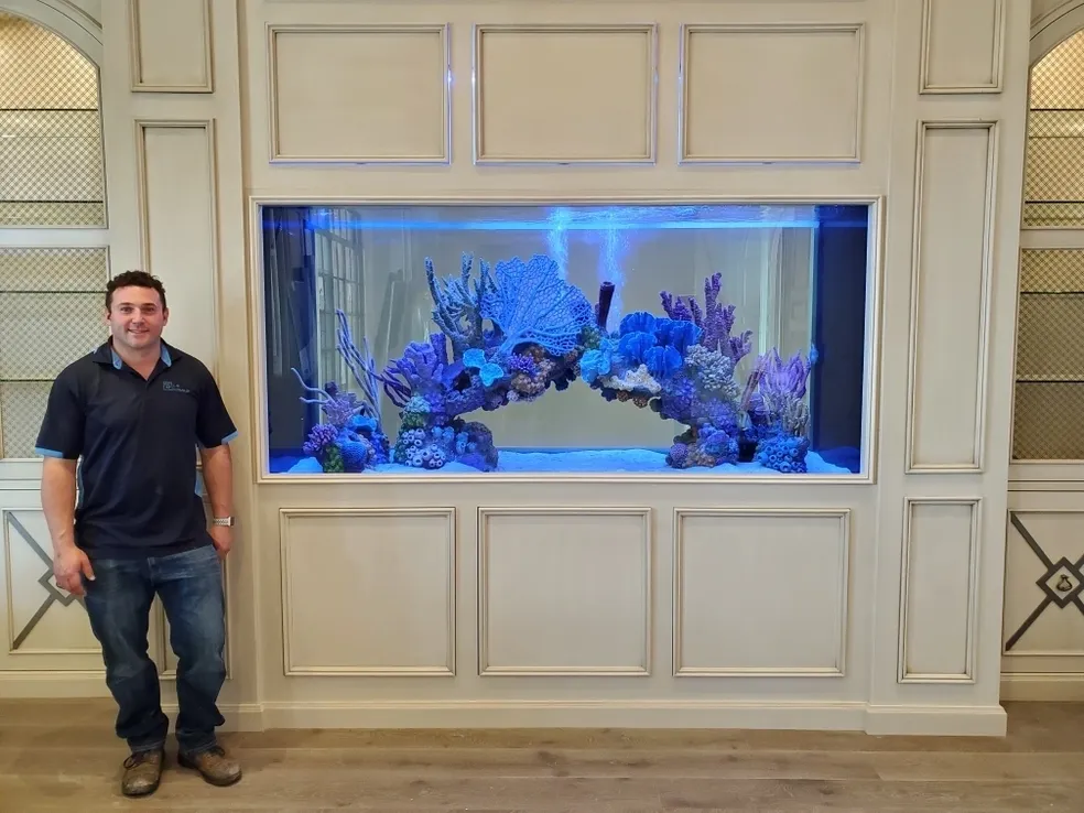 Aquarium Installers in Phoenix