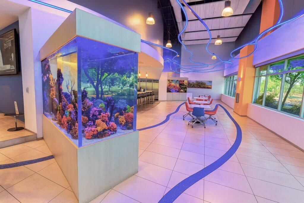 Le Corals
