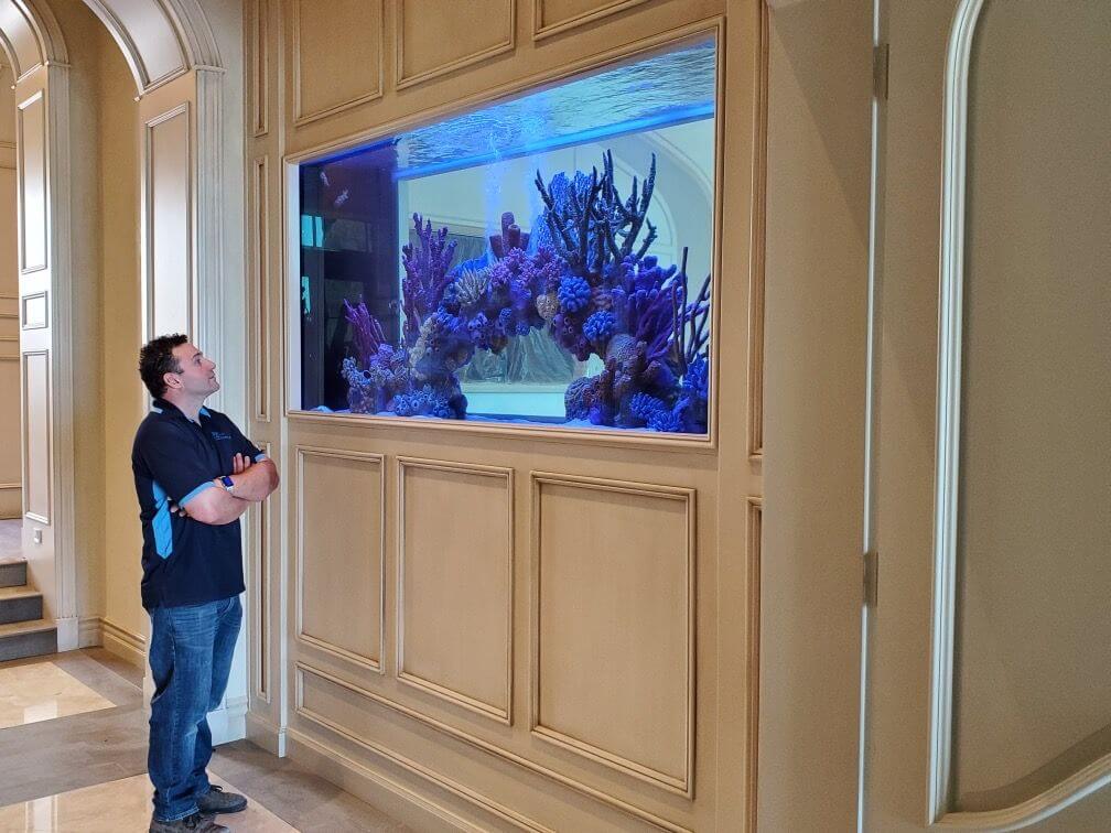 Le Corals