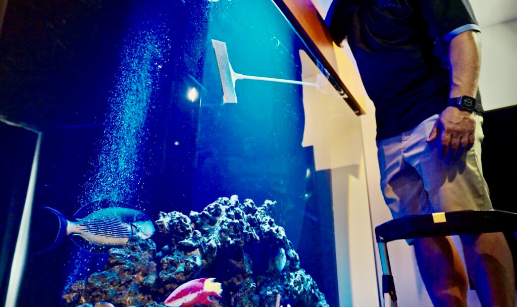 Le Corals